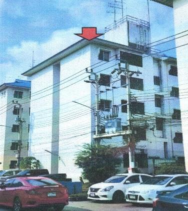 ศีรษะจรเข้ใหญ่ บางเสาธง สมุทรปราการ