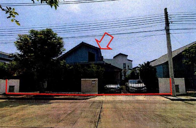 ศรีษะจรเข้น้อย บางเสาธง สมุทรปราการ