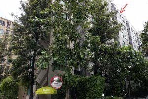 945/640 อาคาร D ชั้น 4 ซอย สุขุมวิท 113 (ด่านสำโรง) ถนน สุขุมวิทสำโรงเหนือ เมืองสมุทรปราการ สมุทรปราการ