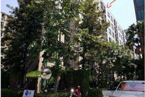 โครงการ เลสโต คอนโด สุขุมวิท 113 [ชั้น 6 อาคาร D] : 945/691 ซ.สุขุมวิท 113 (ด่านสำโรง) ถ.สุขุมวิท (สายเก่า) สำโรงเหนือ เมืองสมุทรปราการ สมุทรปราการ