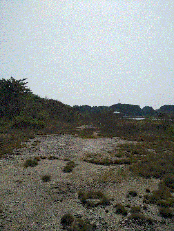 ขายที่ดิน